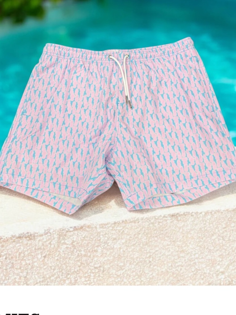 BERMIES swim trunks